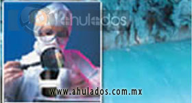 hule sin vulcanizar